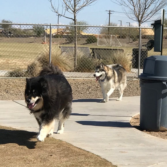 Meet your Posher, Sheri - Picture 5 of 7